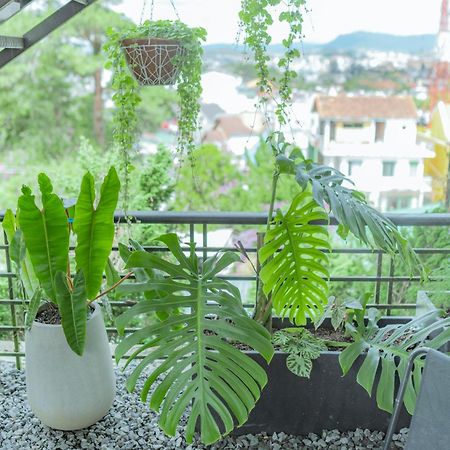 Hilly Hostel دالات المظهر الخارجي الصورة