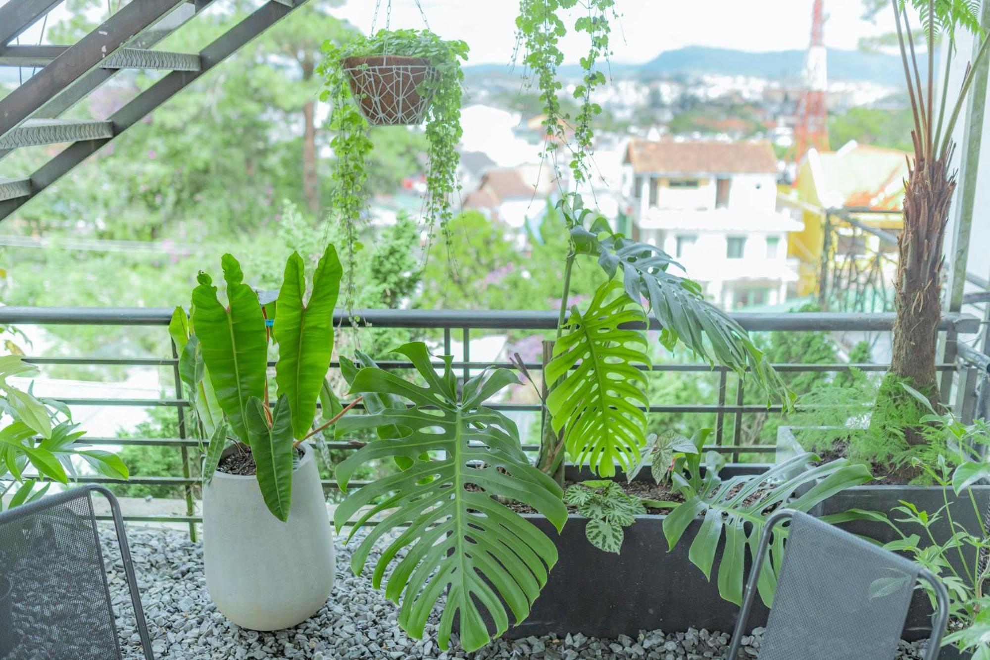 Hilly Hostel دالات المظهر الخارجي الصورة